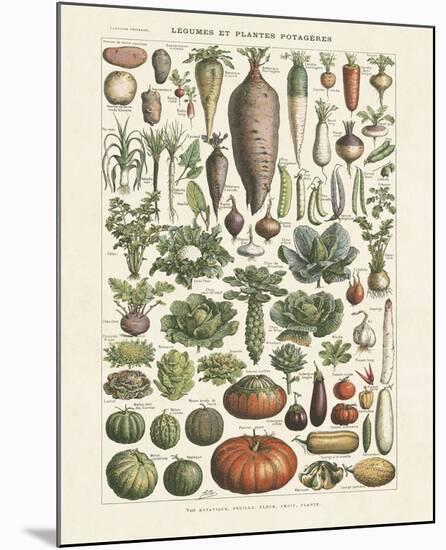 Legumes I-Adolphe Millot-Mounted Art Print