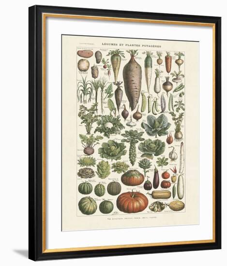 Legumes I-Adolphe Millot-Framed Art Print