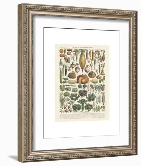 Legumes II-Adolphe Millot-Framed Art Print