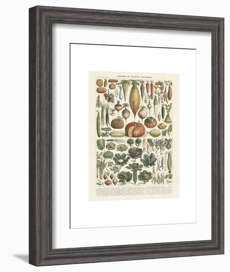 Legumes II-Adolphe Millot-Framed Art Print