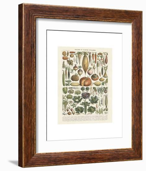 Legumes II-Adolphe Millot-Framed Art Print