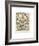 Legumes II-Adolphe Millot-Framed Art Print