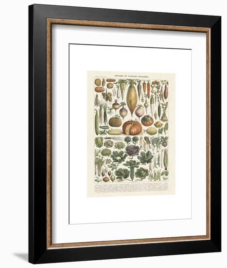 Legumes II-Adolphe Millot-Framed Art Print