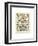 Legumes II-Adolphe Millot-Framed Art Print