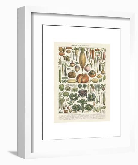 Legumes II-Adolphe Millot-Framed Art Print