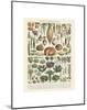 Legumes II-Adolphe Millot-Mounted Art Print