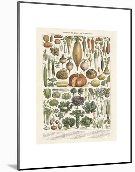 Legumes II-Adolphe Millot-Mounted Art Print