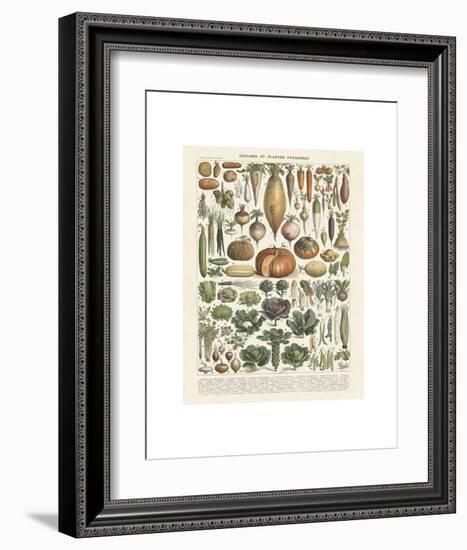 Legumes II-Adolphe Millot-Framed Art Print