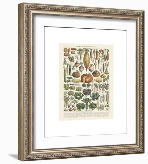 Legumes II-Adolphe Millot-Framed Giclee Print