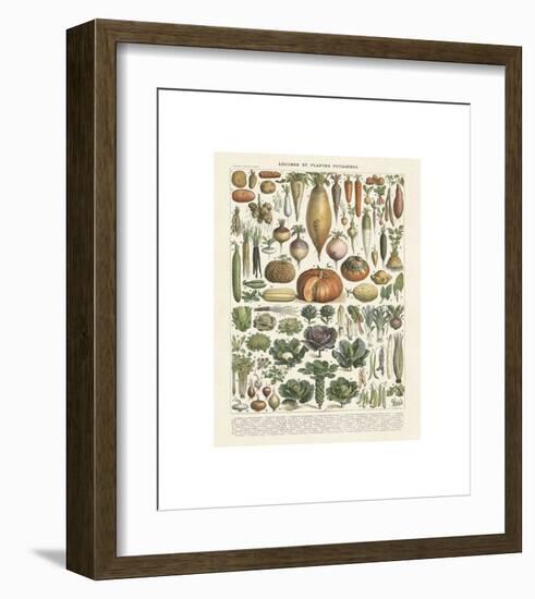 Legumes II-Adolphe Millot-Framed Giclee Print