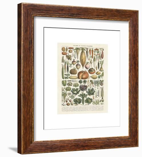 Legumes II-Adolphe Millot-Framed Giclee Print