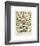 Legumes II-Adolphe Millot-Framed Giclee Print