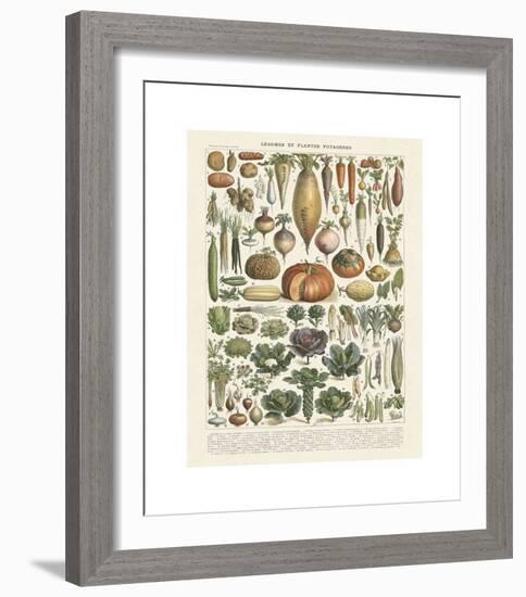 Legumes II-Adolphe Millot-Framed Giclee Print