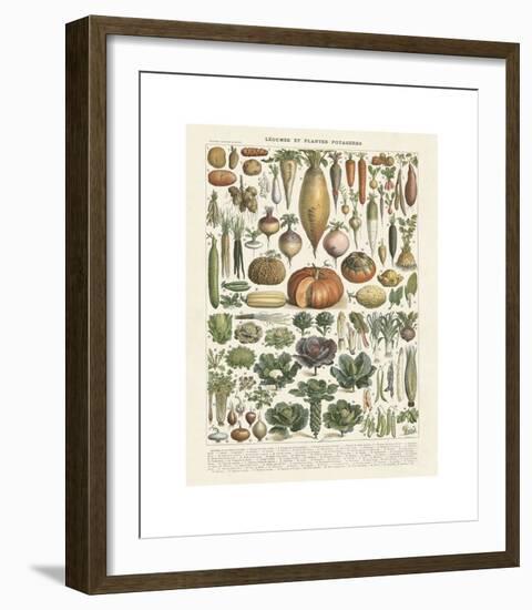 Legumes II-Adolphe Millot-Framed Giclee Print