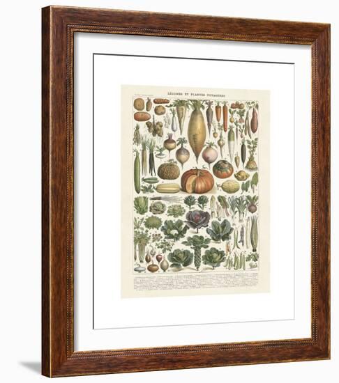 Legumes II-Adolphe Millot-Framed Giclee Print