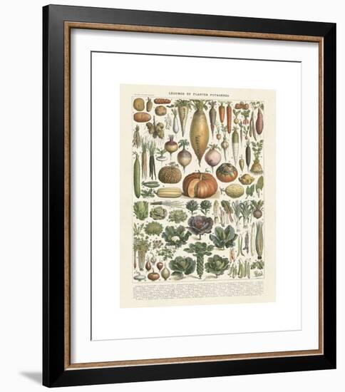 Legumes II-Adolphe Millot-Framed Giclee Print