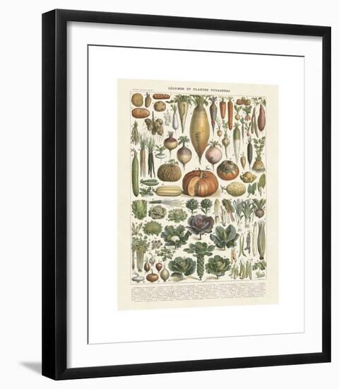 Legumes II-Adolphe Millot-Framed Giclee Print