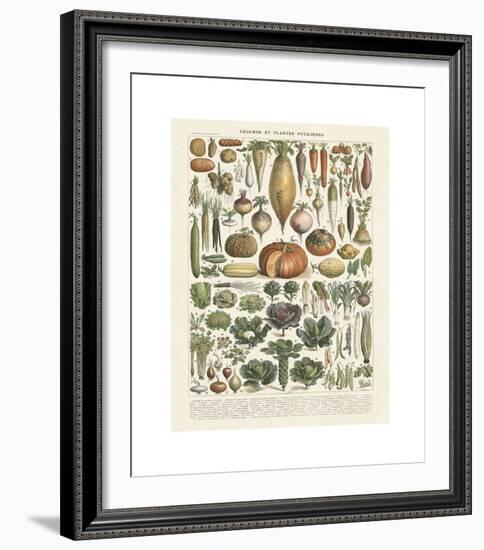 Legumes II-Adolphe Millot-Framed Giclee Print