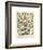 Legumes II-Adolphe Millot-Framed Giclee Print