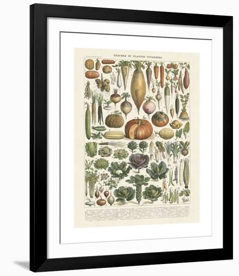 Legumes II-Adolphe Millot-Framed Giclee Print