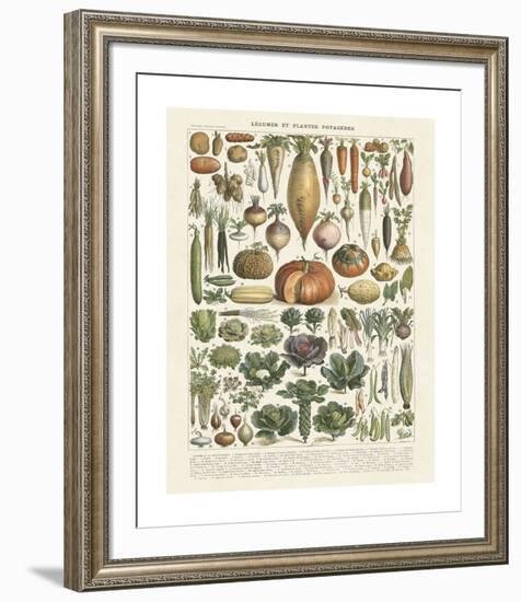 Legumes II-Adolphe Millot-Framed Giclee Print