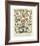 Legumes II-Adolphe Millot-Framed Giclee Print