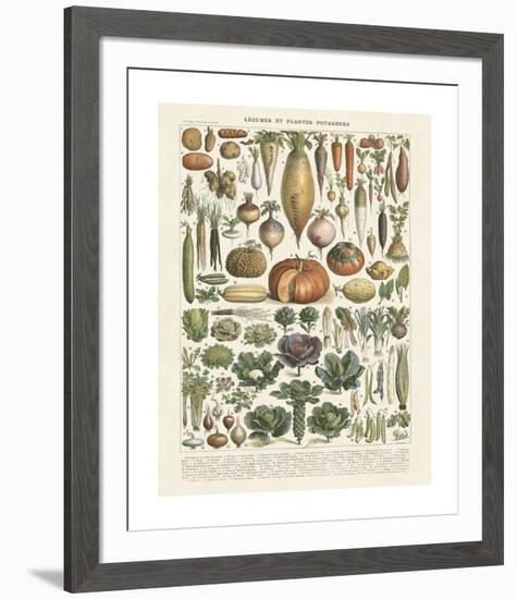 Legumes II-Adolphe Millot-Framed Giclee Print