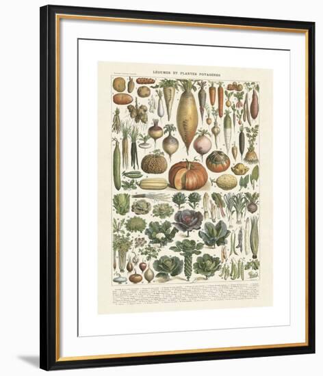 Legumes II-Adolphe Millot-Framed Giclee Print