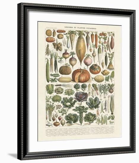 Legumes II-Adolphe Millot-Framed Art Print