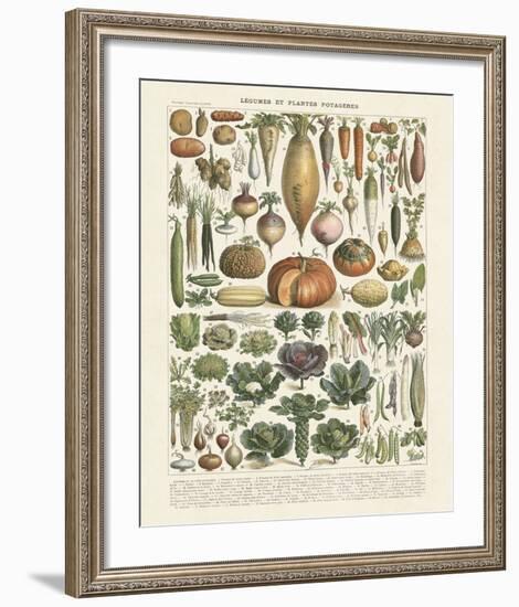 Legumes II-Adolphe Millot-Framed Art Print