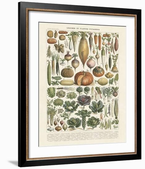 Legumes II-Adolphe Millot-Framed Art Print