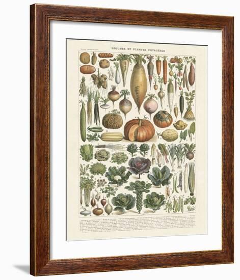 Legumes II-Adolphe Millot-Framed Art Print