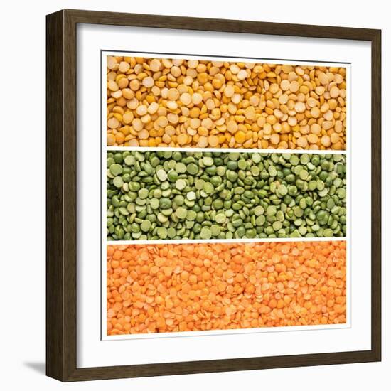 Legumes Triptych-Steve Gadomski-Framed Photographic Print