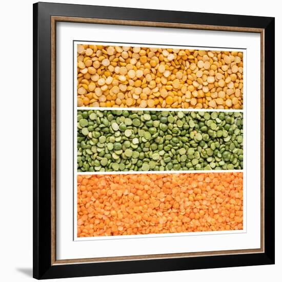 Legumes Triptych-Steve Gadomski-Framed Photographic Print