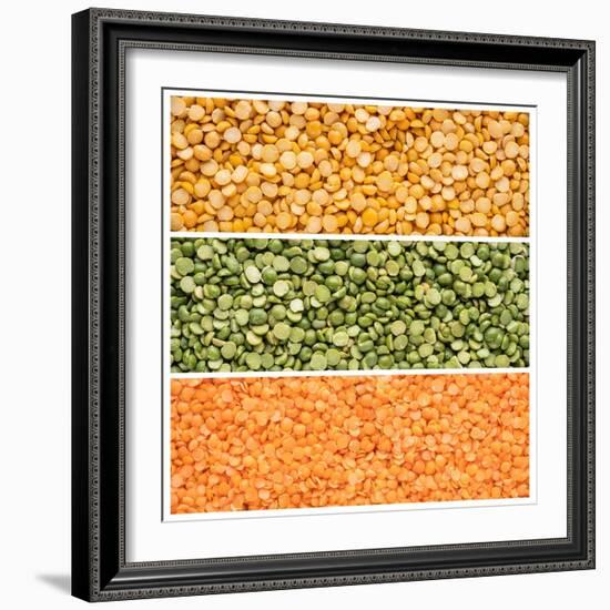 Legumes Triptych-Steve Gadomski-Framed Photographic Print