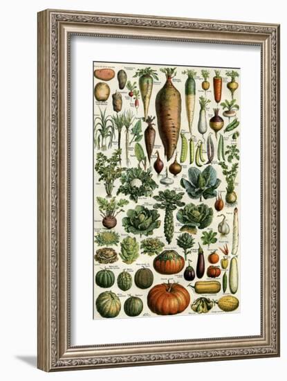 Legumes-null-Framed Art Print