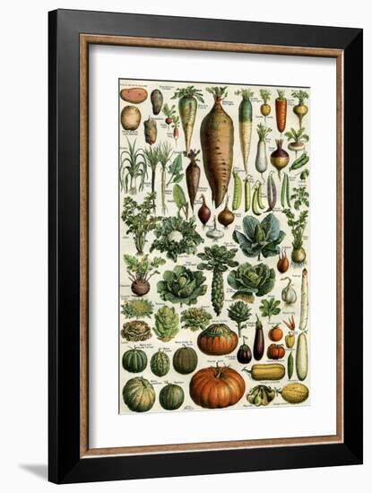 Legumes-null-Framed Art Print