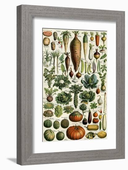 Legumes-null-Framed Art Print