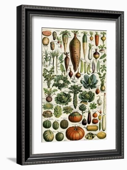 Legumes-null-Framed Art Print