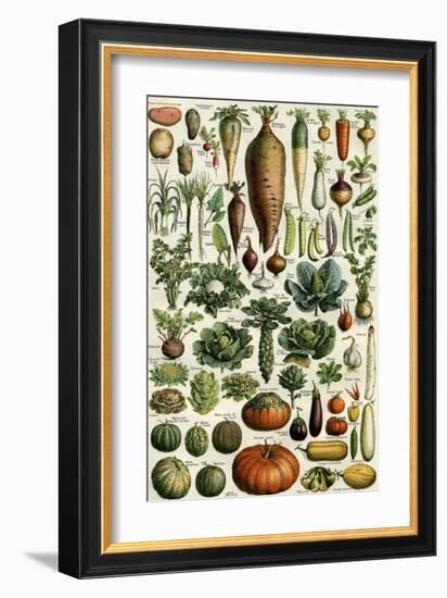 Legumes-null-Framed Art Print