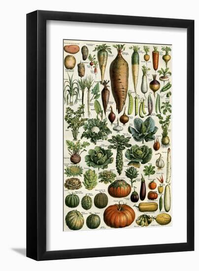 Legumes-null-Framed Art Print