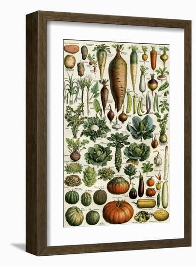 Legumes-null-Framed Art Print