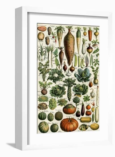 Legumes-null-Framed Art Print