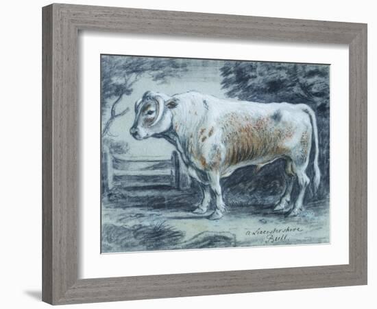 Leicestershire Bull, 18th Century-Copleston Warre Bampfylde-Framed Giclee Print