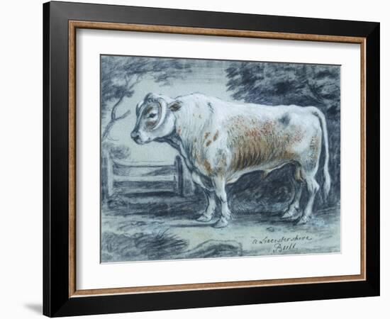 Leicestershire Bull, 18th Century-Copleston Warre Bampfylde-Framed Giclee Print