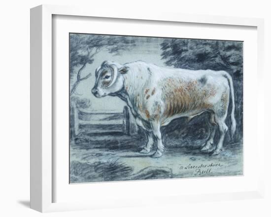 Leicestershire Bull, 18th Century-Copleston Warre Bampfylde-Framed Giclee Print