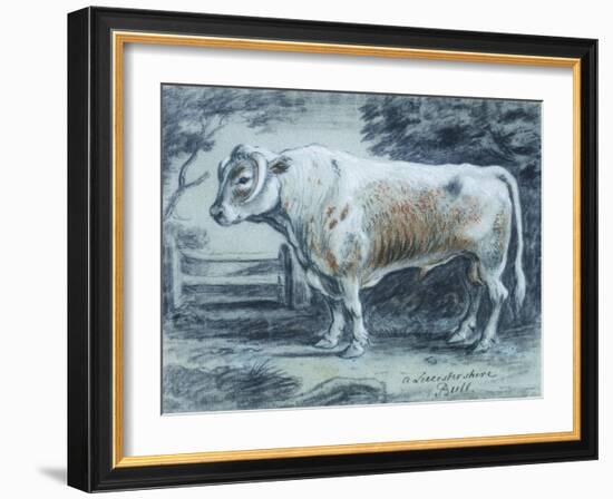 Leicestershire Bull, 18th Century-Copleston Warre Bampfylde-Framed Giclee Print