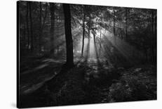 Past the sun.-Leif Londal-Framed Premier Image Canvas