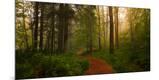 Photographic Print