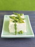 Tofu and Soybeans-Leigh Beisch-Premier Image Canvas